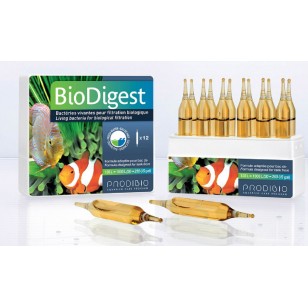 BioDigest de Prodibio (12 ampollas)