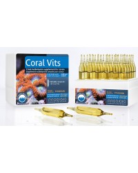 Coral Vits de Prodibio (30 ampollas)