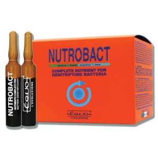 Equo Nutrobact (6 viales)