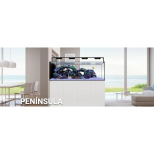 Waterbox Peninsula Marine X 3620 (acuario + mesa) (Blanco) ¡¡ENVÍO GRATIS A PENÍNSULA!!
