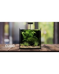 Waterbox Cube 20