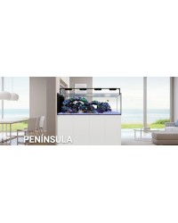 Peninsula 3620 (acuario + mesa) (Negro)