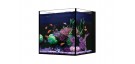 Red Sea Acuario Desktop Cube (sólo acuario)  ¡¡ENVÍO GRATIS A PENÍNSULA!!
