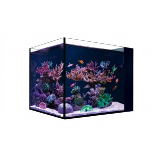 Red Sea Acuario Desktop Cube Peninsula (sólo acuario)  ¡¡ENVÍO GRATIS A PENÍNSULA!!