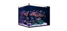 Red Sea Acuario Desktop Cube Peninsula (sólo acuario)  ¡¡ENVÍO GRATIS A PENÍNSULA!!