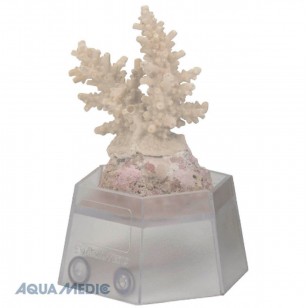 Aqua Medic Coral Holder
