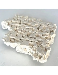 Roca Foundation Marco Rock 2